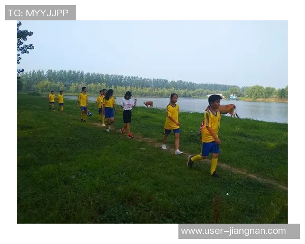 红鼎天下足球引领潮流助力青少年成长打造足球梦想新天地