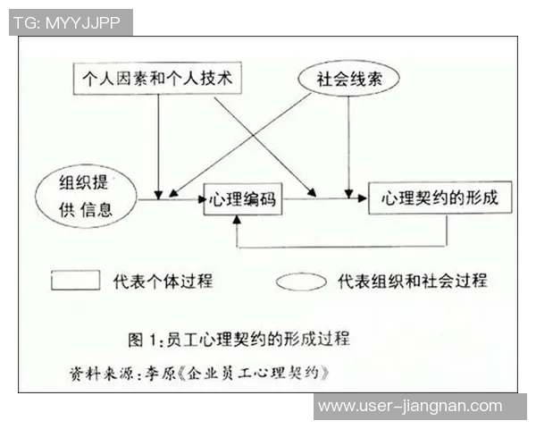 足球俱乐部球员证的重要性与管理策略探讨及其对职业生涯的影响分析